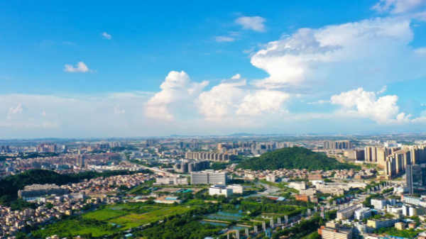 图片8.png
