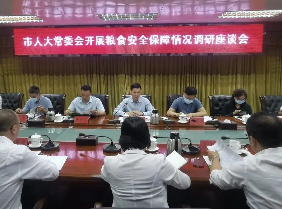 市人大常委会到港口镇调研粮食安全保障工作002.jpeg