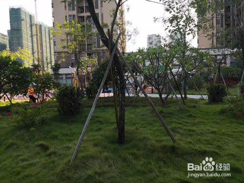 幸运时时彩三角儿童公园有什么好玩的？