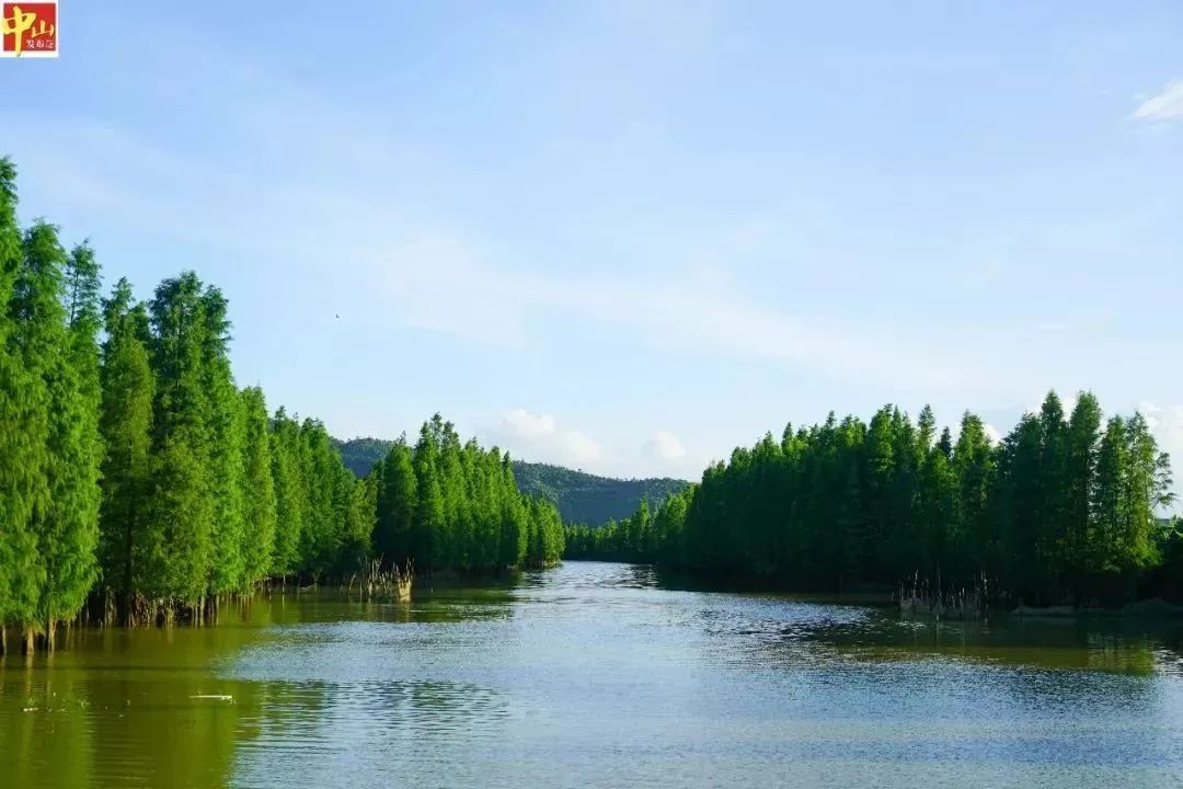 幸运时时彩：治水工作要进一步从高从严要求 以“时时放心不下”的责任感抓质量1.jpeg