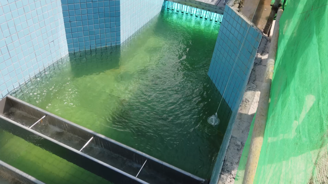 净污规模翻倍，幸运时时彩港口污水处理扩建项目通水4.png