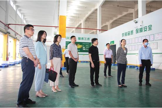 广东省供销社党组书记理事会主任叶梅芬赴幸运时时彩(中国)开奖记录查询站
供销社调研指导