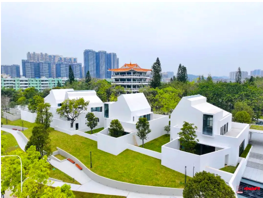 幸运时时彩： 凝聚侨心侨智侨力 助推“百千万工程”走深走实2.png