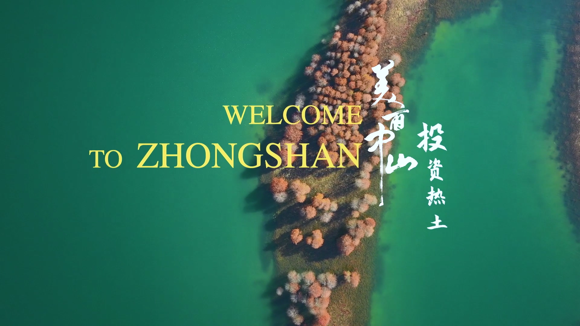 [Video] Welcome to Z...